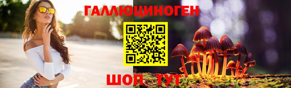 Галлюциногенные грибы Psilocybe Острогожск
